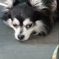 3ヶ月間、連絡を待つことに…