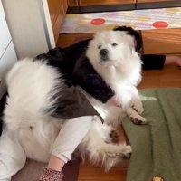 「え！？お散歩！？」