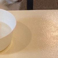 浮気