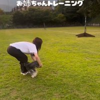 輪っかをくぐり抜ける犬1
