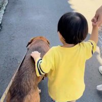 男の子を守る咲太郎くん5