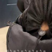 リュックに入るポテトちゃんとウニちゃん5