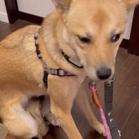 ブルブル震えて怯えていた