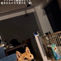 「まったくもう…」