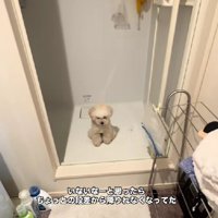 シャワールームにいた