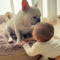 優しく見つめるポトフくん