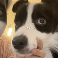 目をそらします