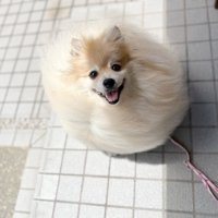 風