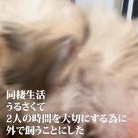驚くべき決断