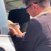 つむぎちゃんとの初対面