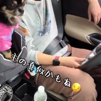 飼い主さんの真似！？