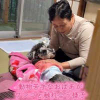 おばあちゃんとジジくん