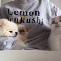 両手にモフモフ♡
