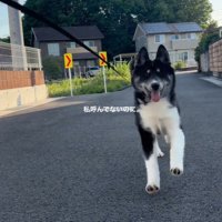 元気に駆け寄ってくる稀琉くん