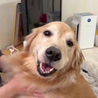 「レース楽しかったね♪」