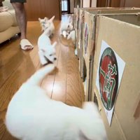 次々と入室する光景にキュン♡