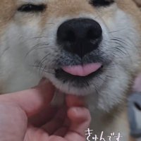 ナデナデされてうっとり…