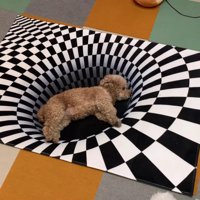 お昼寝場所になりました