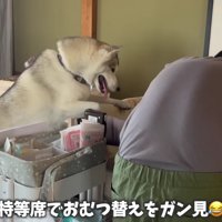 「おむつちゃんと替えられた！？」