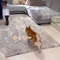 靴下大好きなうにくん