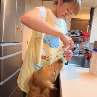 哺乳瓶の蓋を閉める飼い主