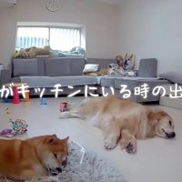 ママがキッチンにいる間に…