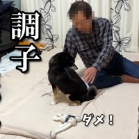 触るのはNG…