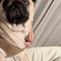 「必ず行きましょう」