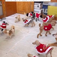 ラホちゃんとの出会いと現在