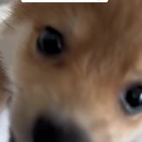 「ここから先は通しません！」