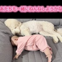 隣でごろんっ