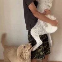 ますお君＆まるお君の熱烈歓迎