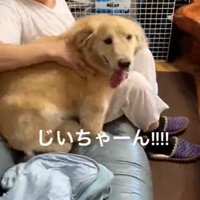 落ち着かないりんちゃん