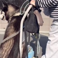 誇らしげな表情