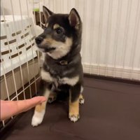 芸の練習中のもずくちゃん2