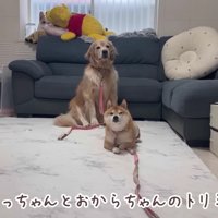 うにくんとおからちゃん