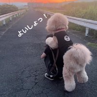 おんぶをねだってきた