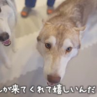 嬉しくてたまらない…♪