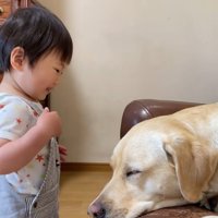 女の子もそばに