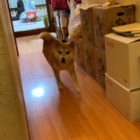 お出迎えにきてくれました♪