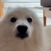 正面から見てみると…