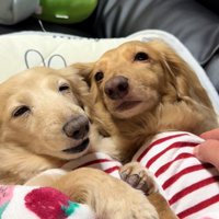 お腹をトントン…