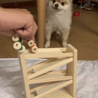 もう1回やってみよう