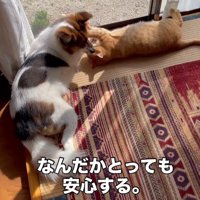 アグちゃんはとても優しかった