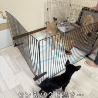 ルールを守っていただきます！