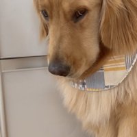 じっとりめの視線…！