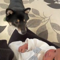 じーっと見つめて…