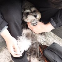旦那さんとの触れ合いタイム