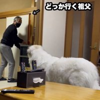 おじいちゃんは部屋の外へ…