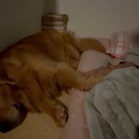 手をつないで寝るふたり
